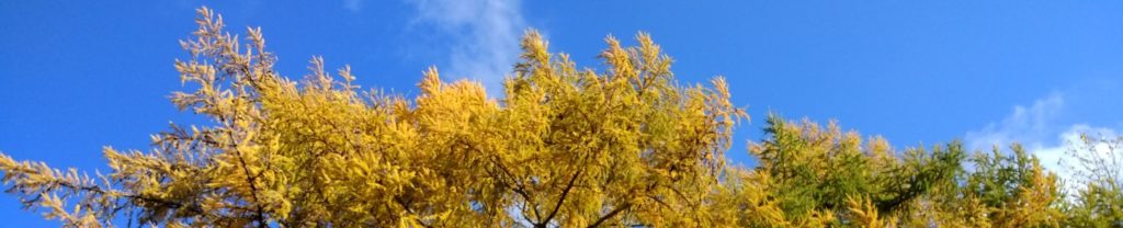 Herbststimmung