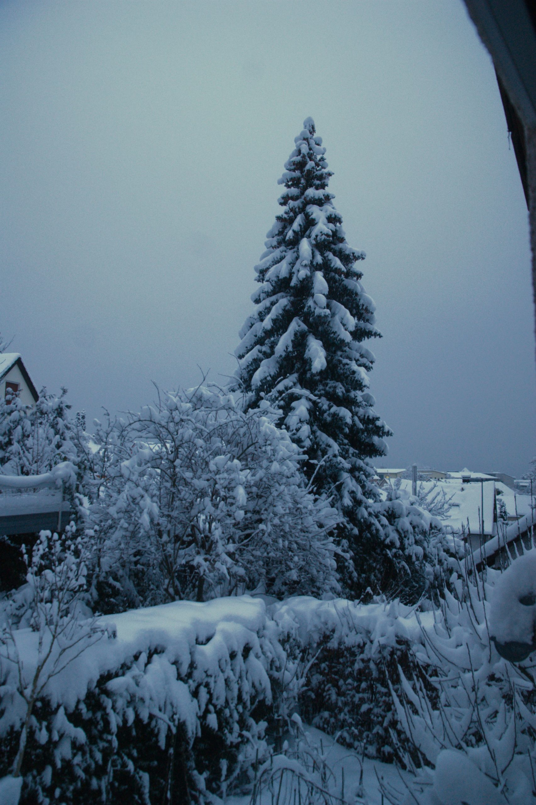 CONV_DSC08382_20210115-1