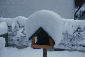 CONV_DSC08386_20210115-1
