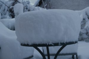 CONV_DSC08390_20210115-1
