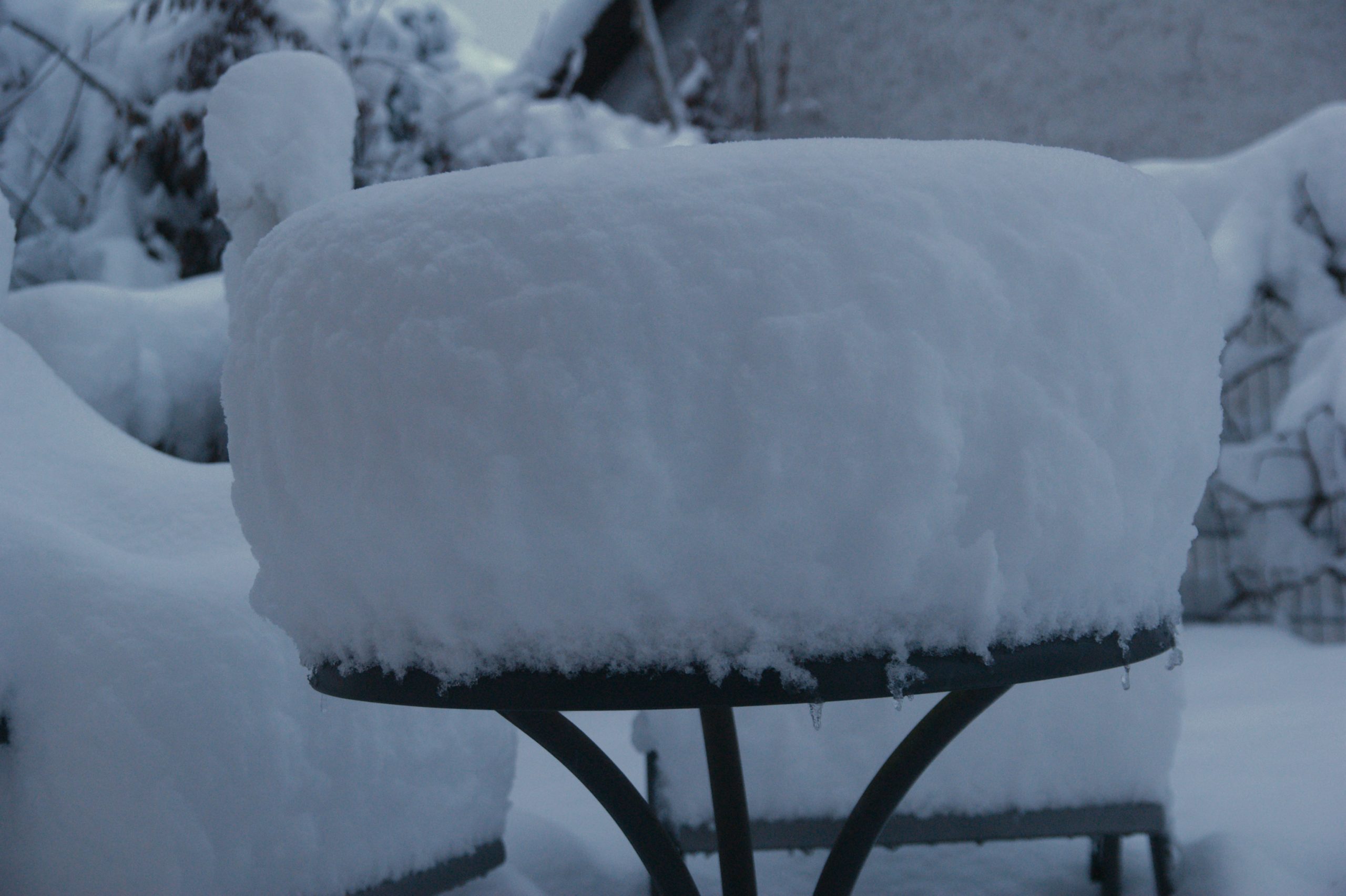 CONV_DSC08390_20210115-1