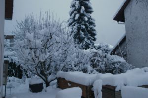 CONV_DSC08392_20210115-1