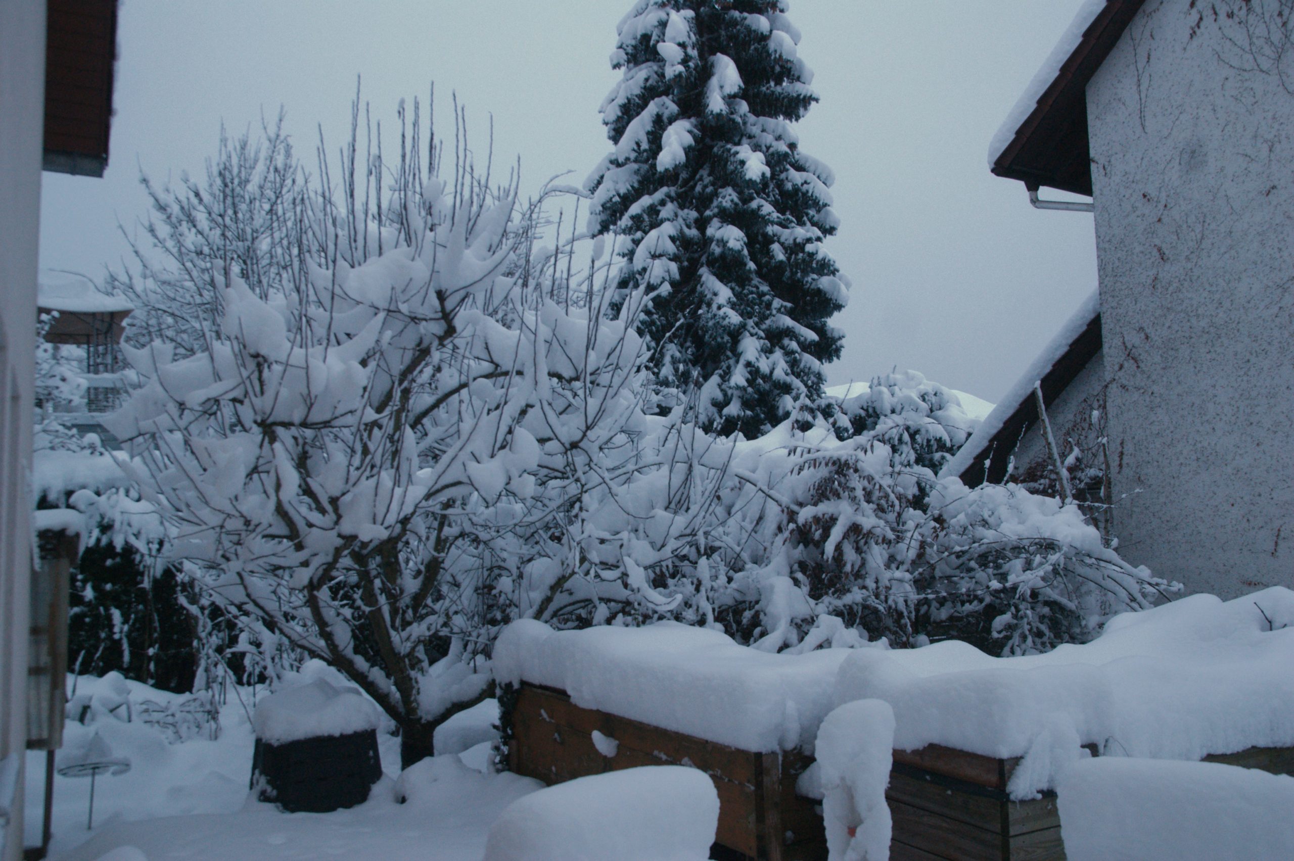 CONV_DSC08392_20210115-1