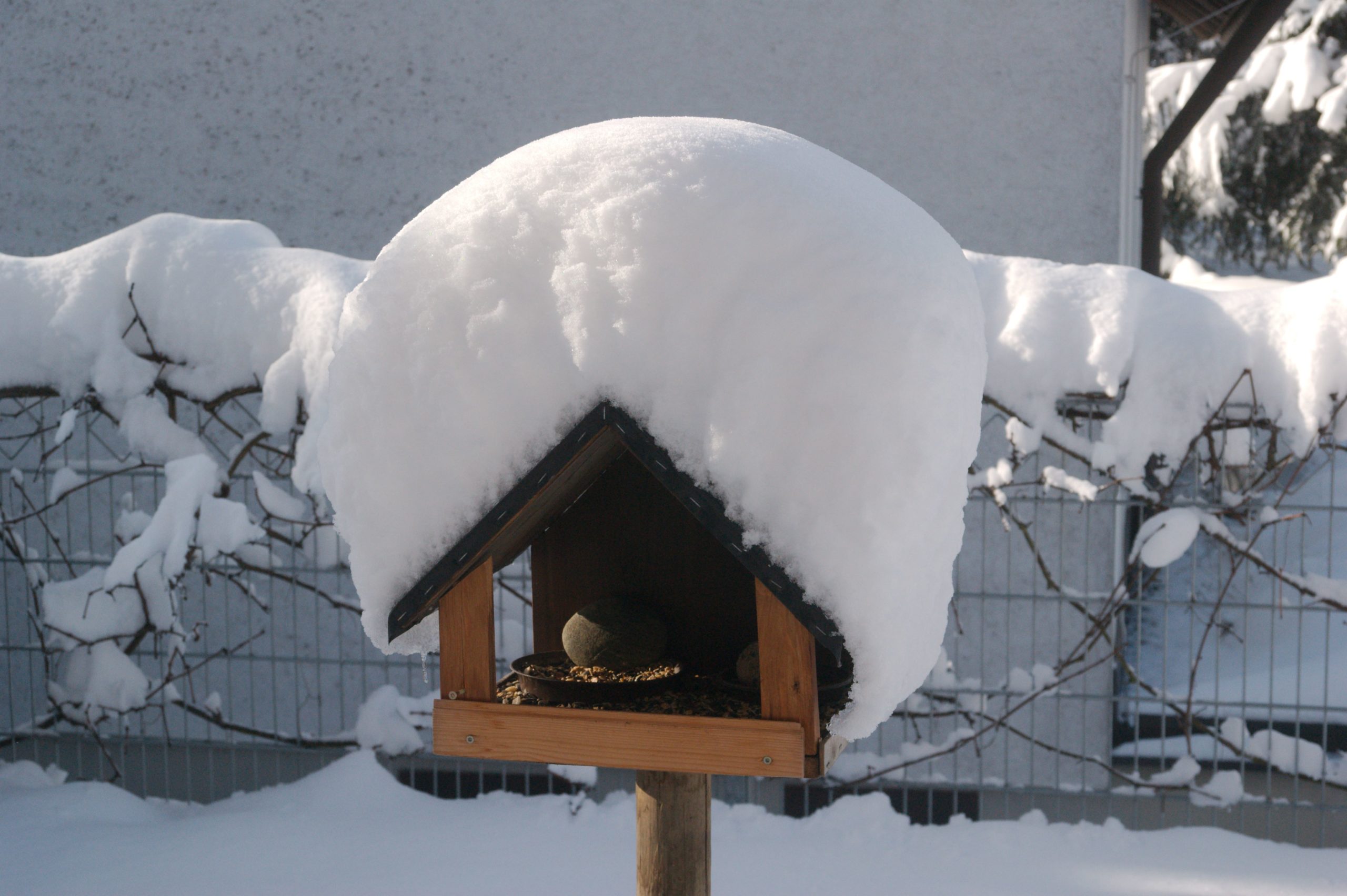 Vogelhäuschen in Sonne