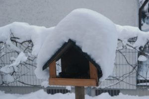 Vogelhäuschen mit Haube