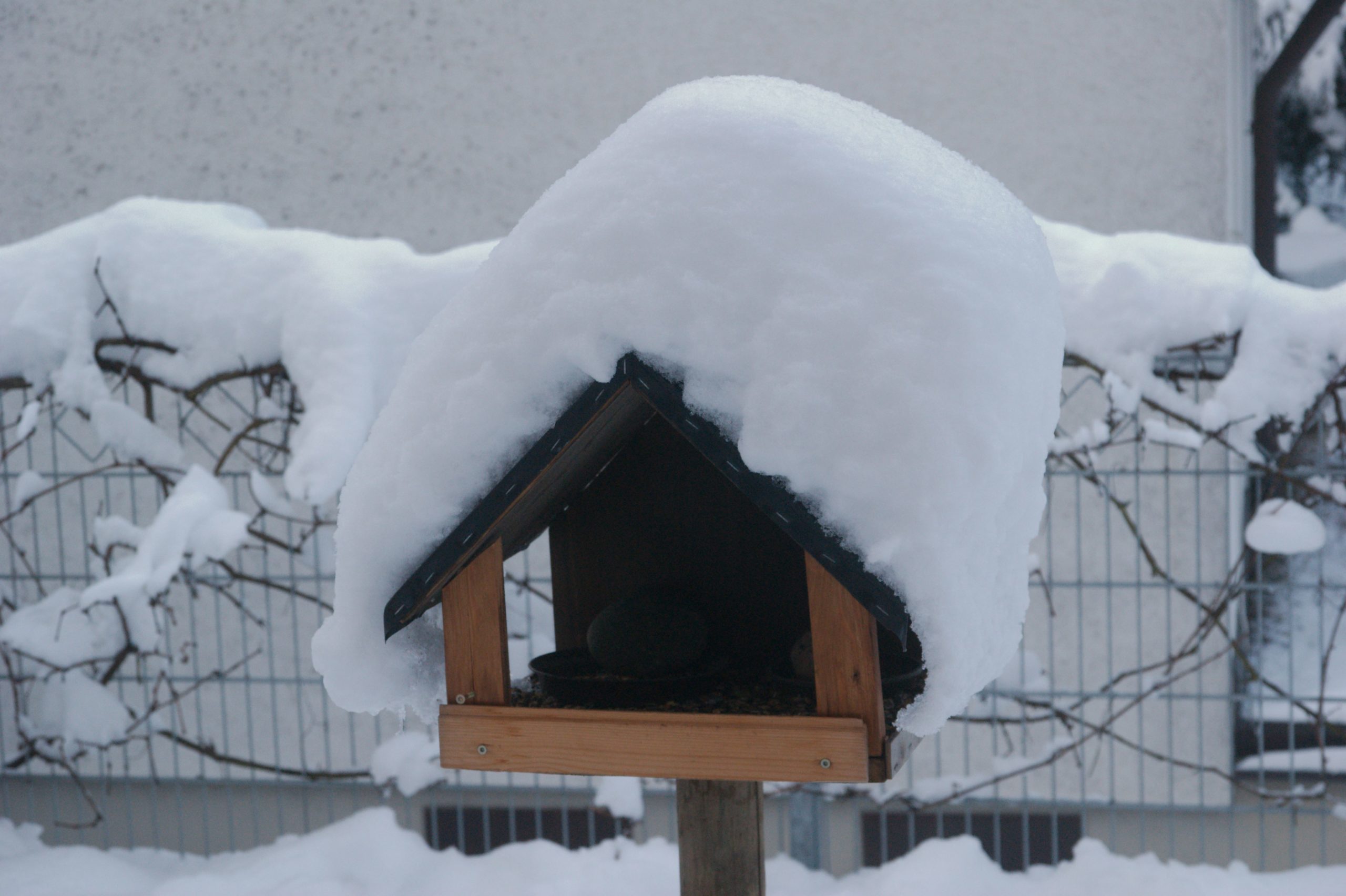 Vogelhäuschen mit Haube