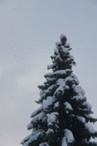 CONV_DSC08401_20210116-1