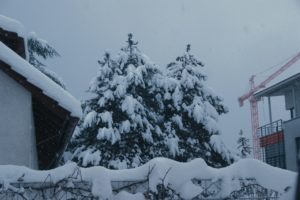 CONV_DSC08406_20210117-1