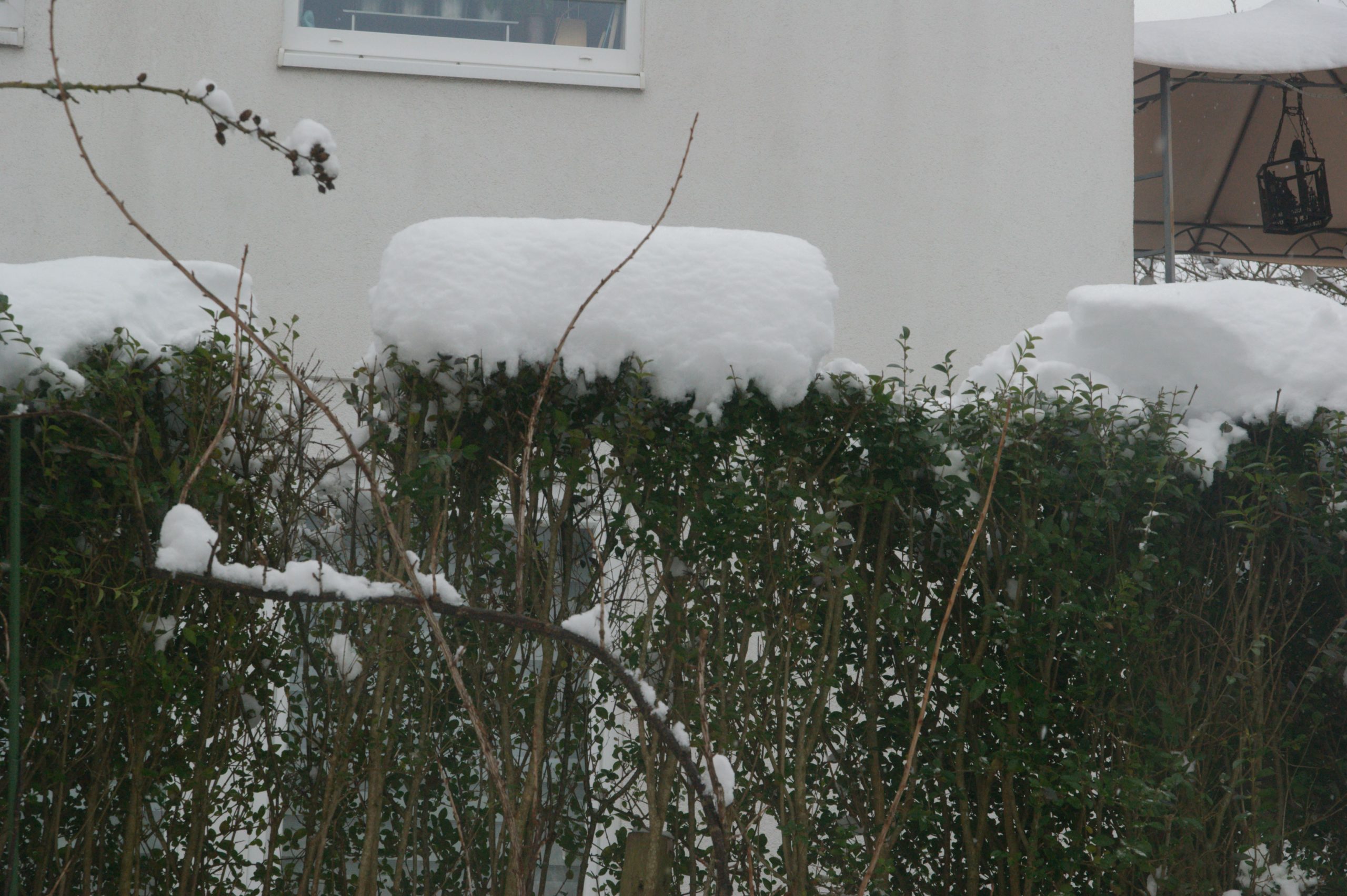 CONV_DSC08408_20210117-1