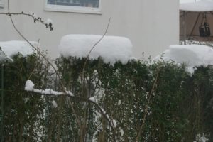 CONV_DSC08408_20210117
