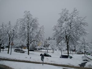 CONV_IMG_20210115_084213468