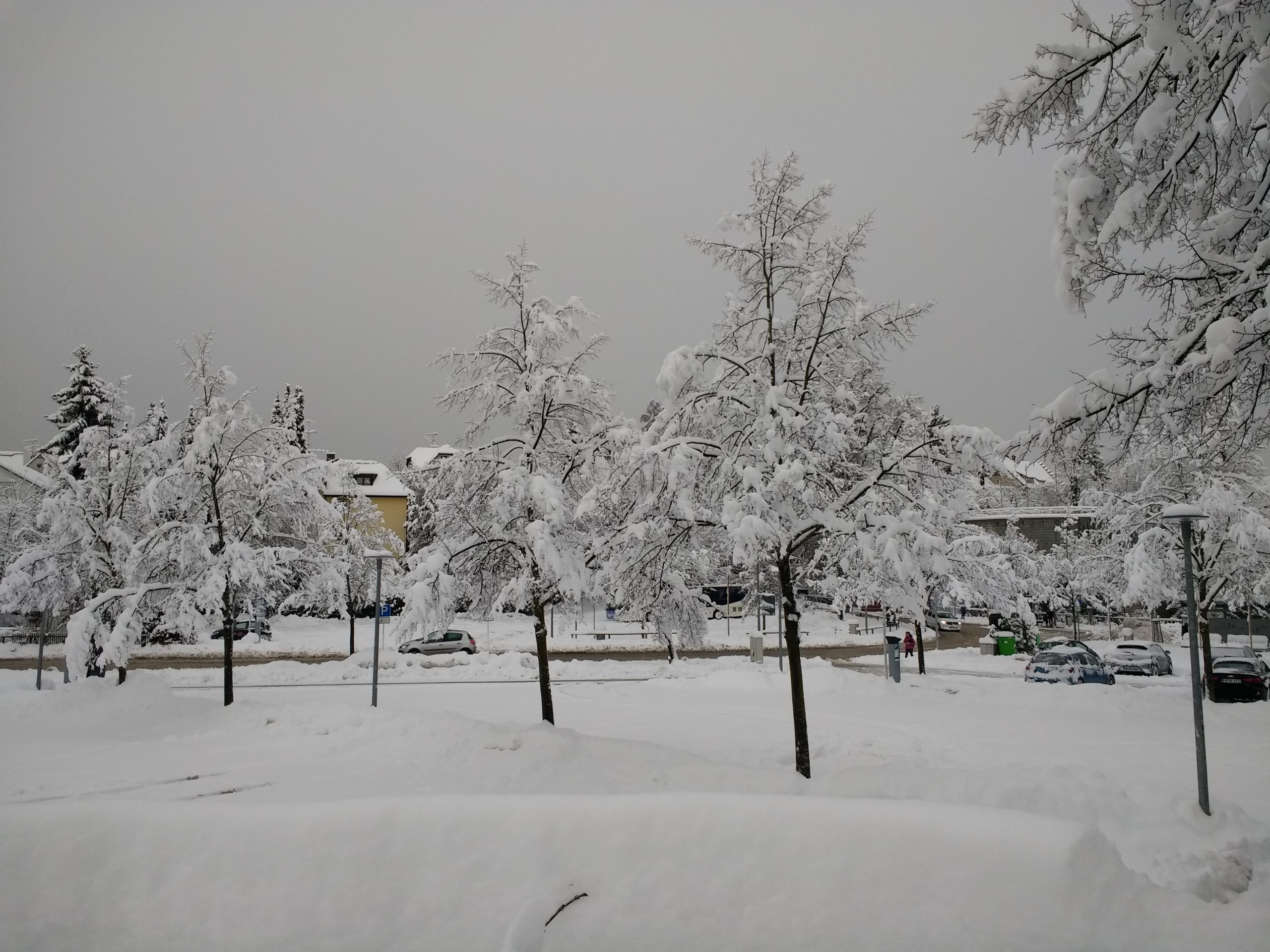 CONV_IMG_20210115_084244220