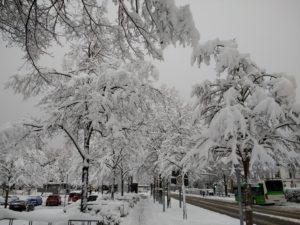 CONV_IMG_20210115_084257043