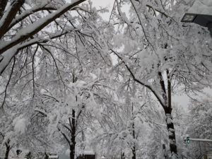 CONV_IMG_20210115_084327494