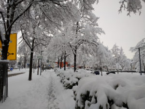 CONV_IMG_20210115_084338101