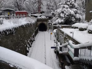 CONV_IMG_20210115_084459996