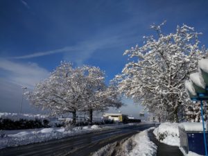 CONV_IMG_20210115_110559753