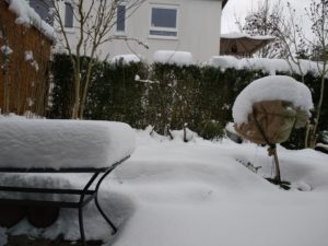 CONV_IMG_20210117_124701073