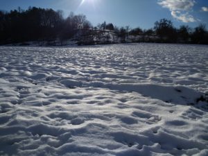 CONV_IMG_20210124_145339129