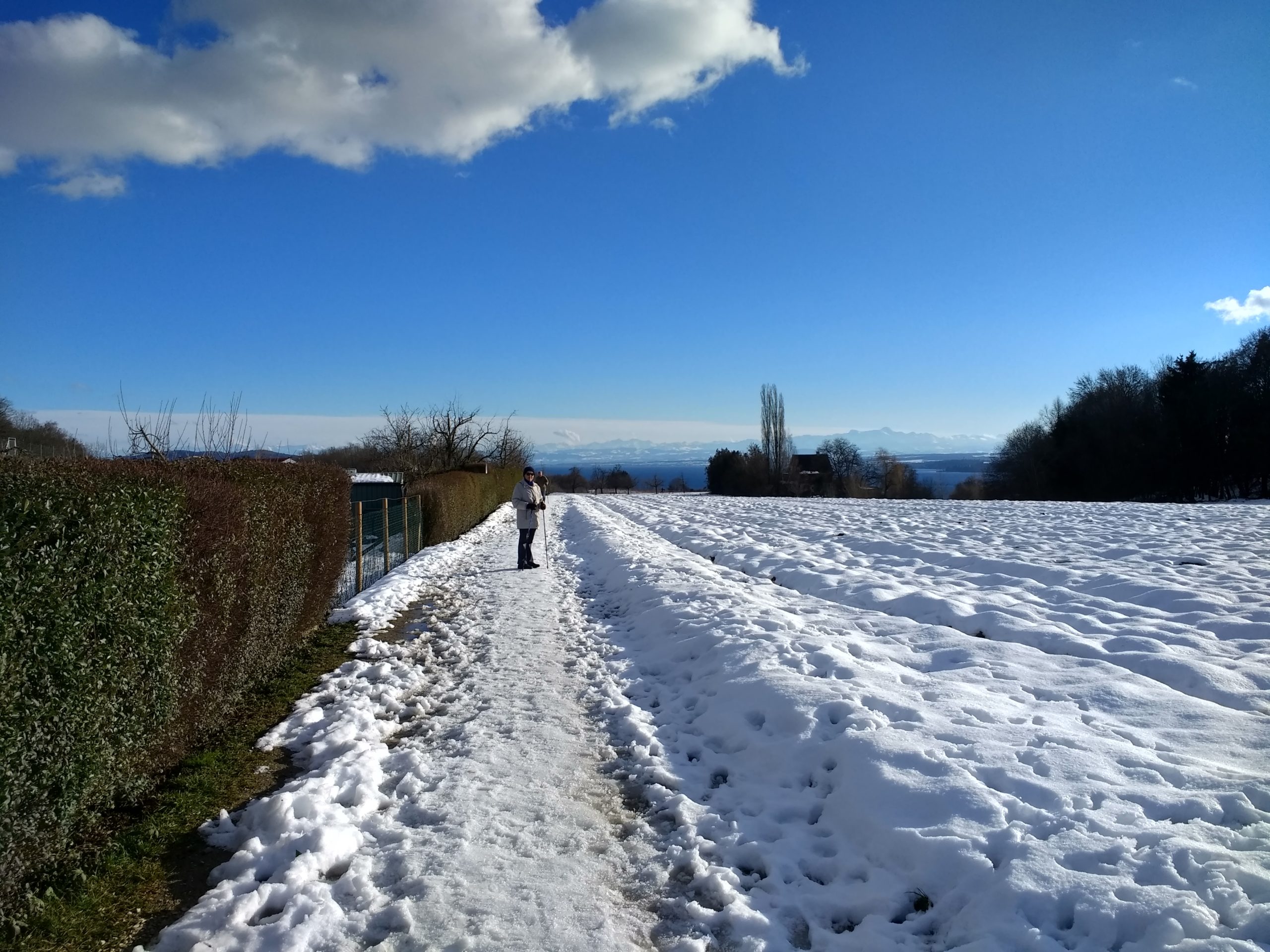 CONV_IMG_20210124_145342877_HDR