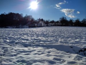 CONV_IMG_20210124_145349530_HDR