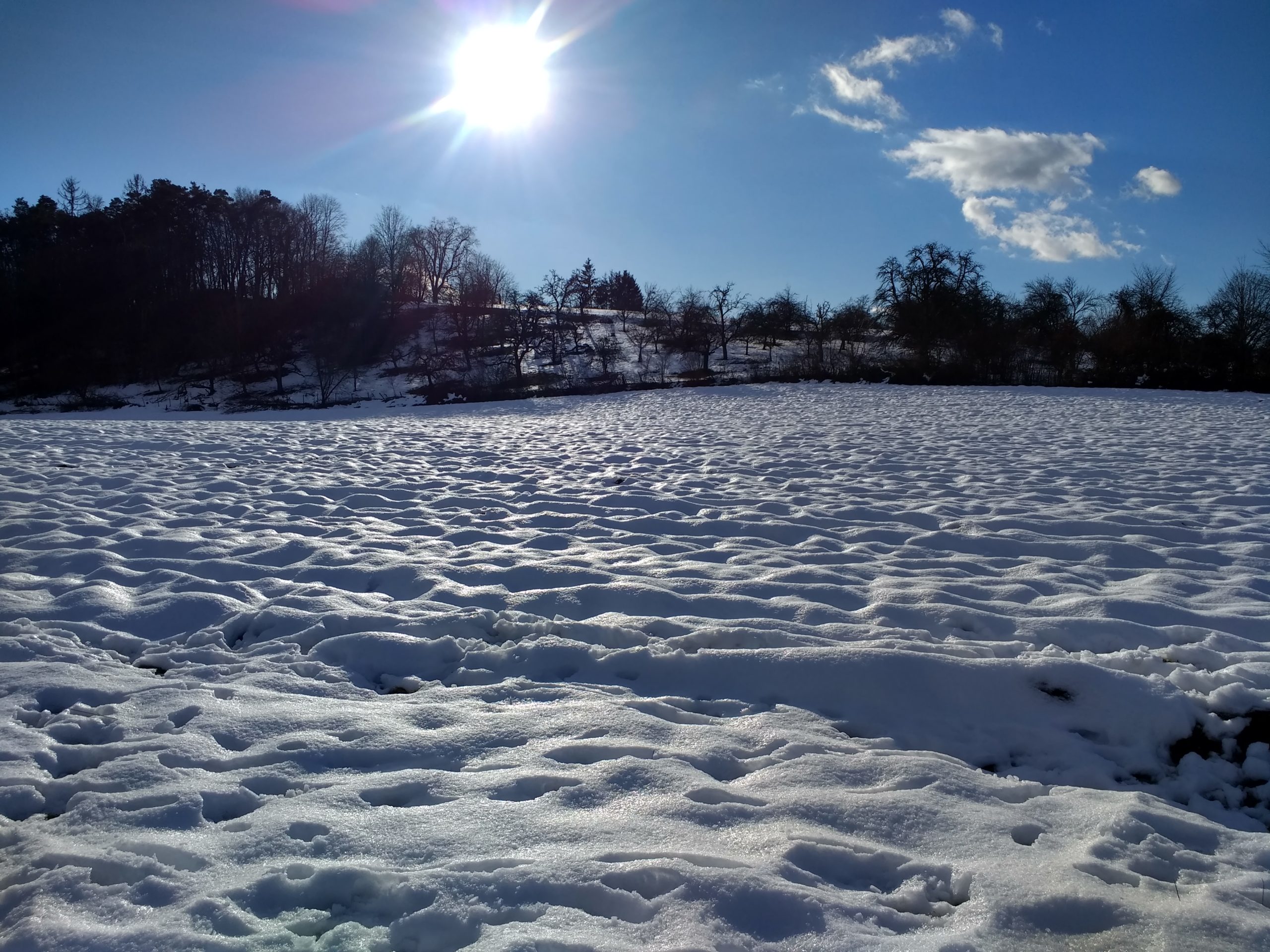 CONV_IMG_20210124_145349530_HDR
