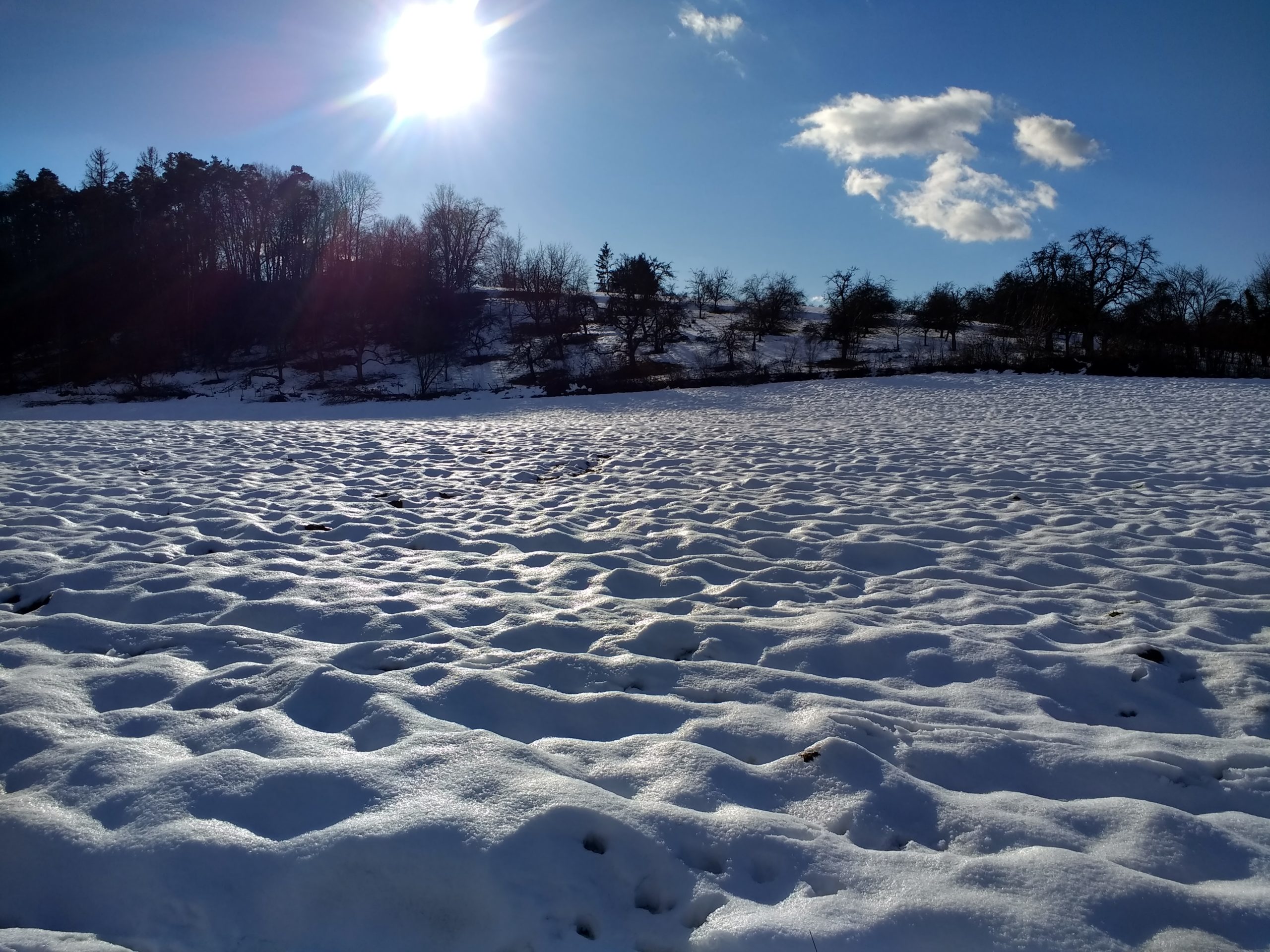 CONV_IMG_20210124_145502672_HDR