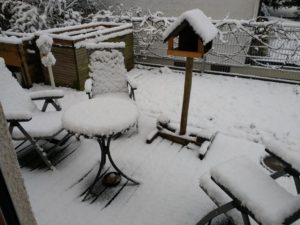 CONV_IMG_20210209_084901668