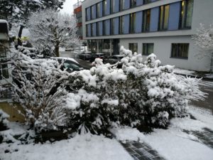 CONV_IMG_20210209_085532917