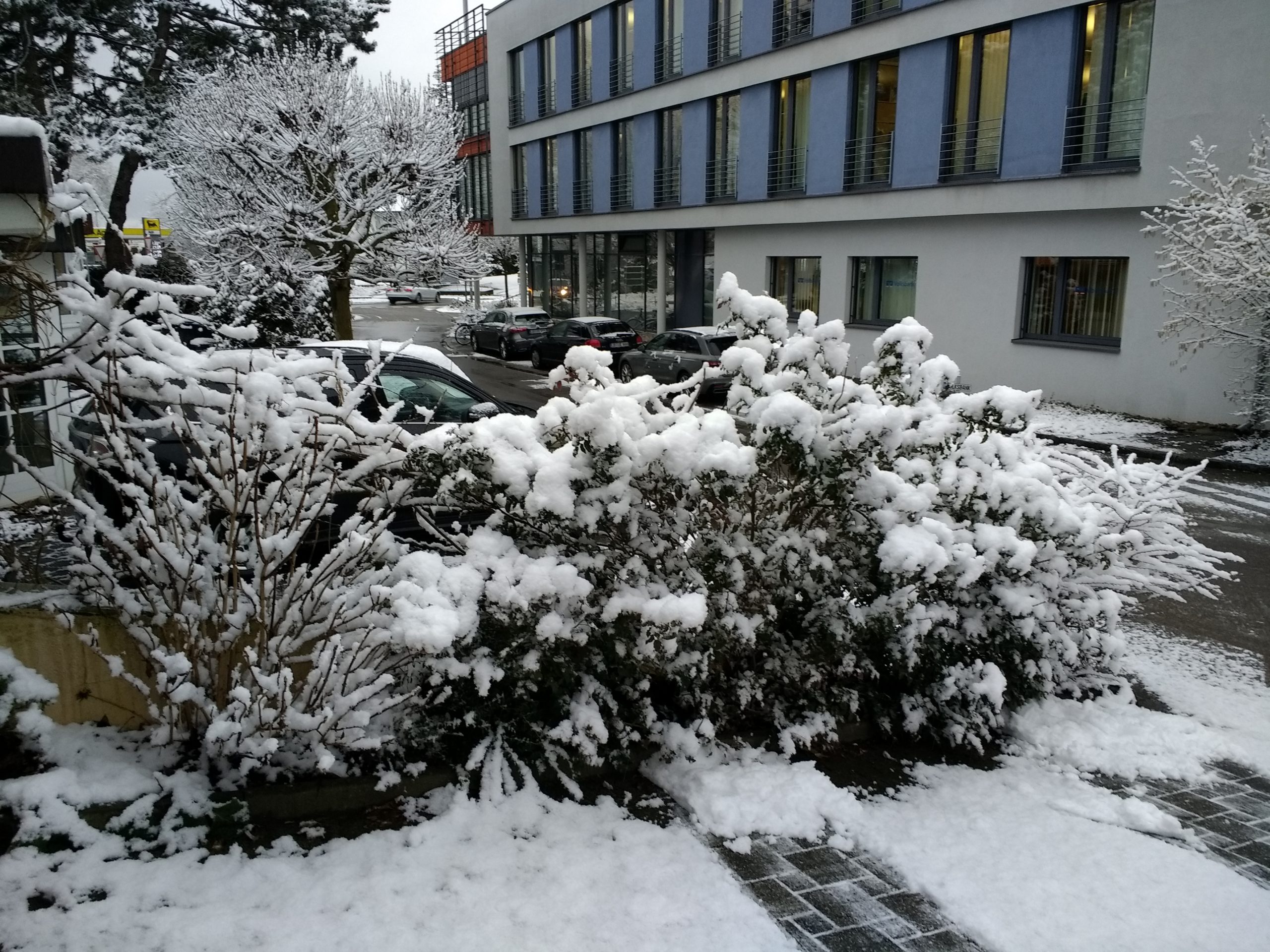 CONV_IMG_20210209_085532917