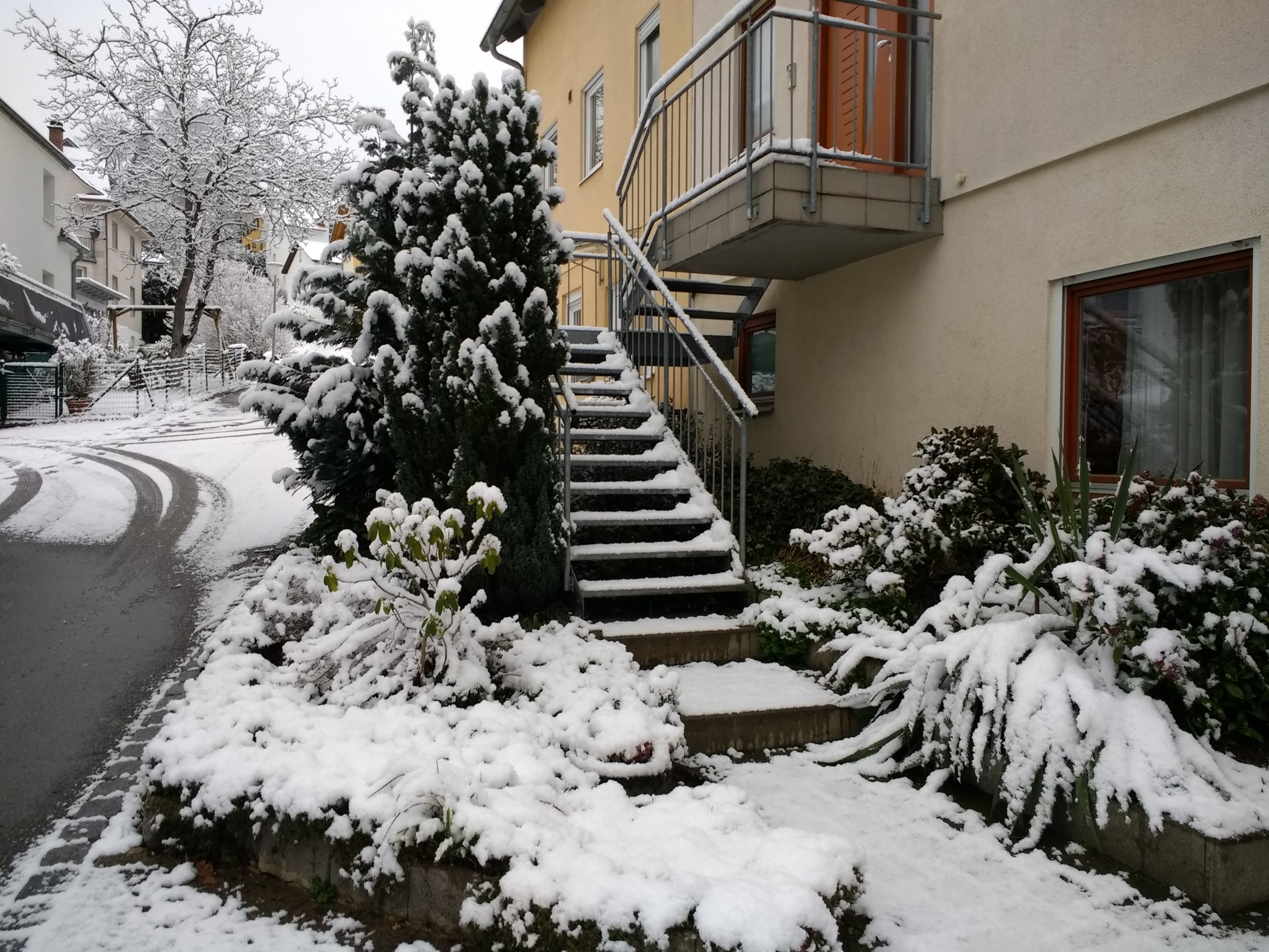CONV_IMG_20210209_085547334