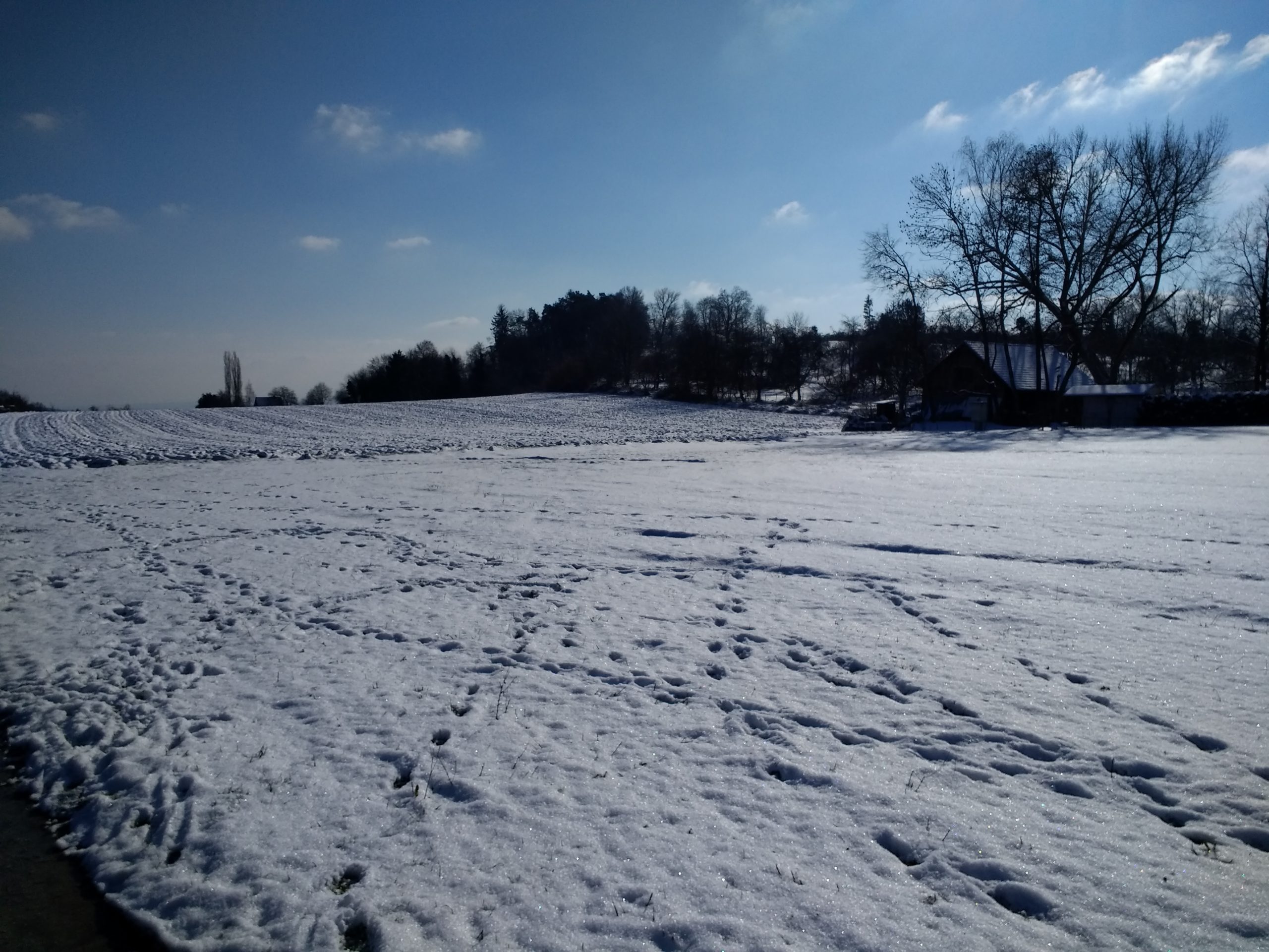 CONV_IMG_20210211_135813315