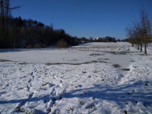 CONV_IMG_20210211_140636438