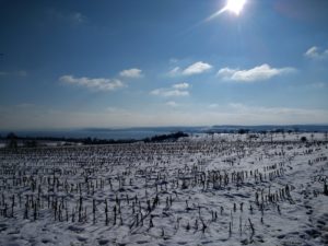 CONV_IMG_20210211_140717194