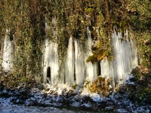 IMG_20210213_134346845_HDR