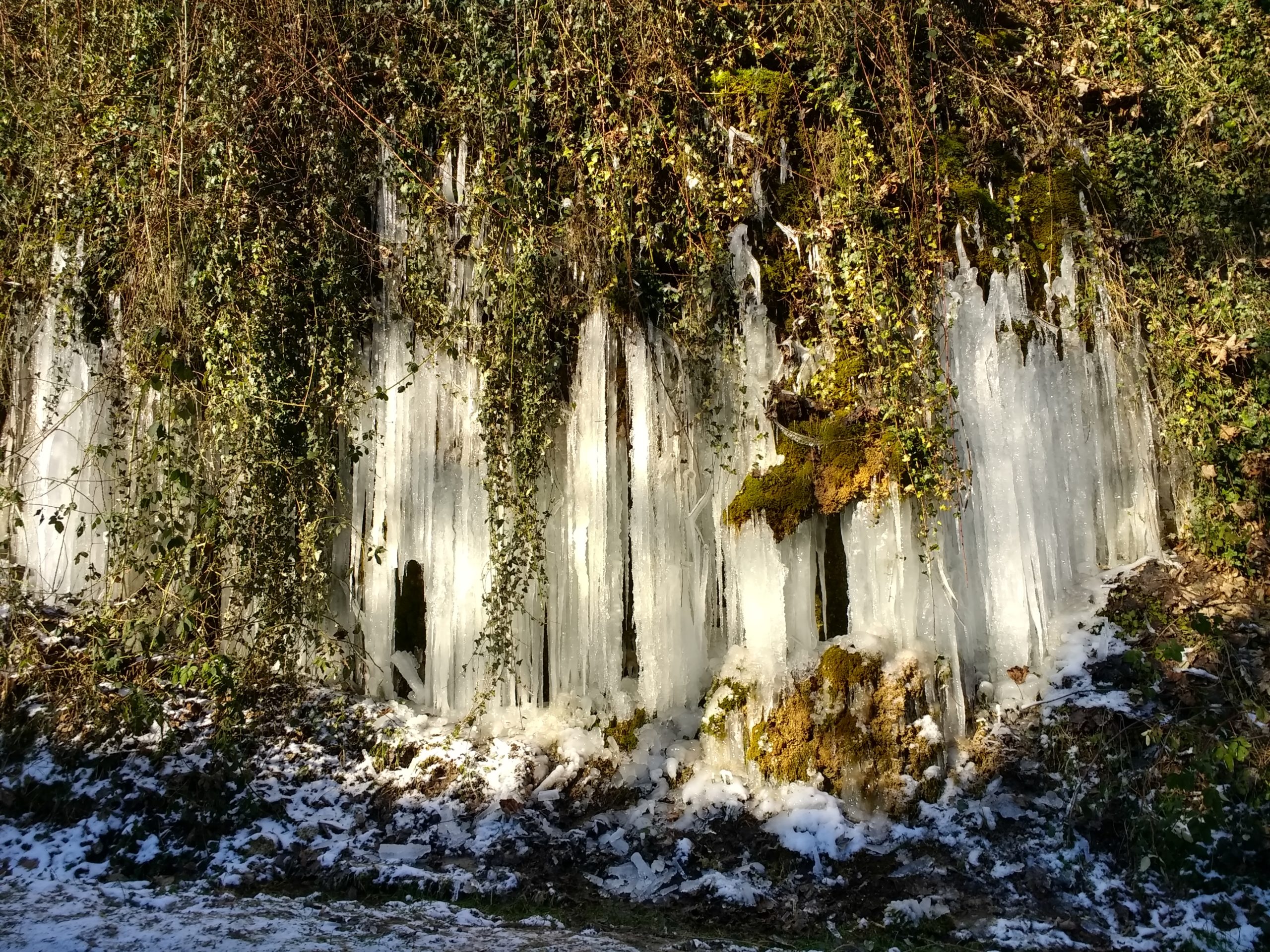 IMG_20210213_134346845_HDR