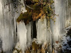 IMG_20210213_134358717