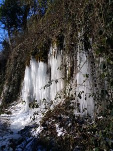 IMG_20210213_134410272