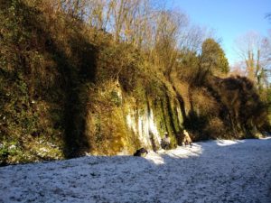 IMG_20210213_134425953