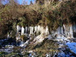 IMG_20210213_134524122