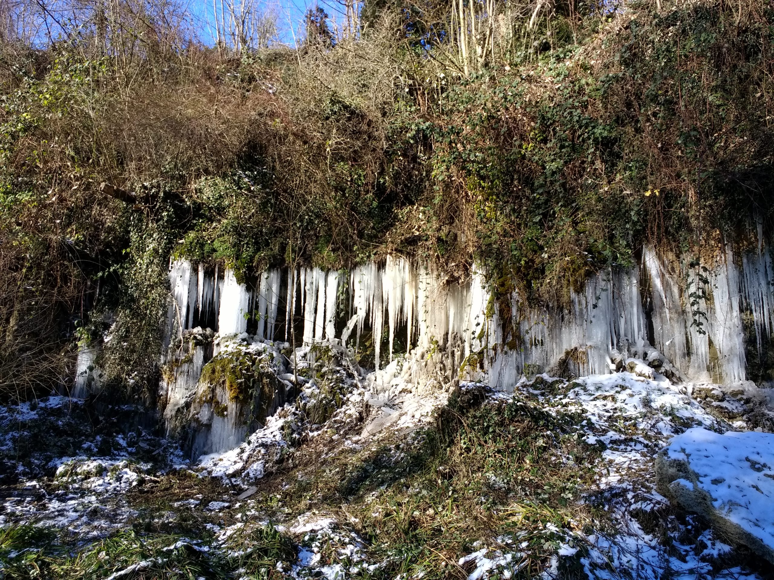 IMG_20210213_134524122