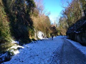 IMG_20210213_134529812_HDR