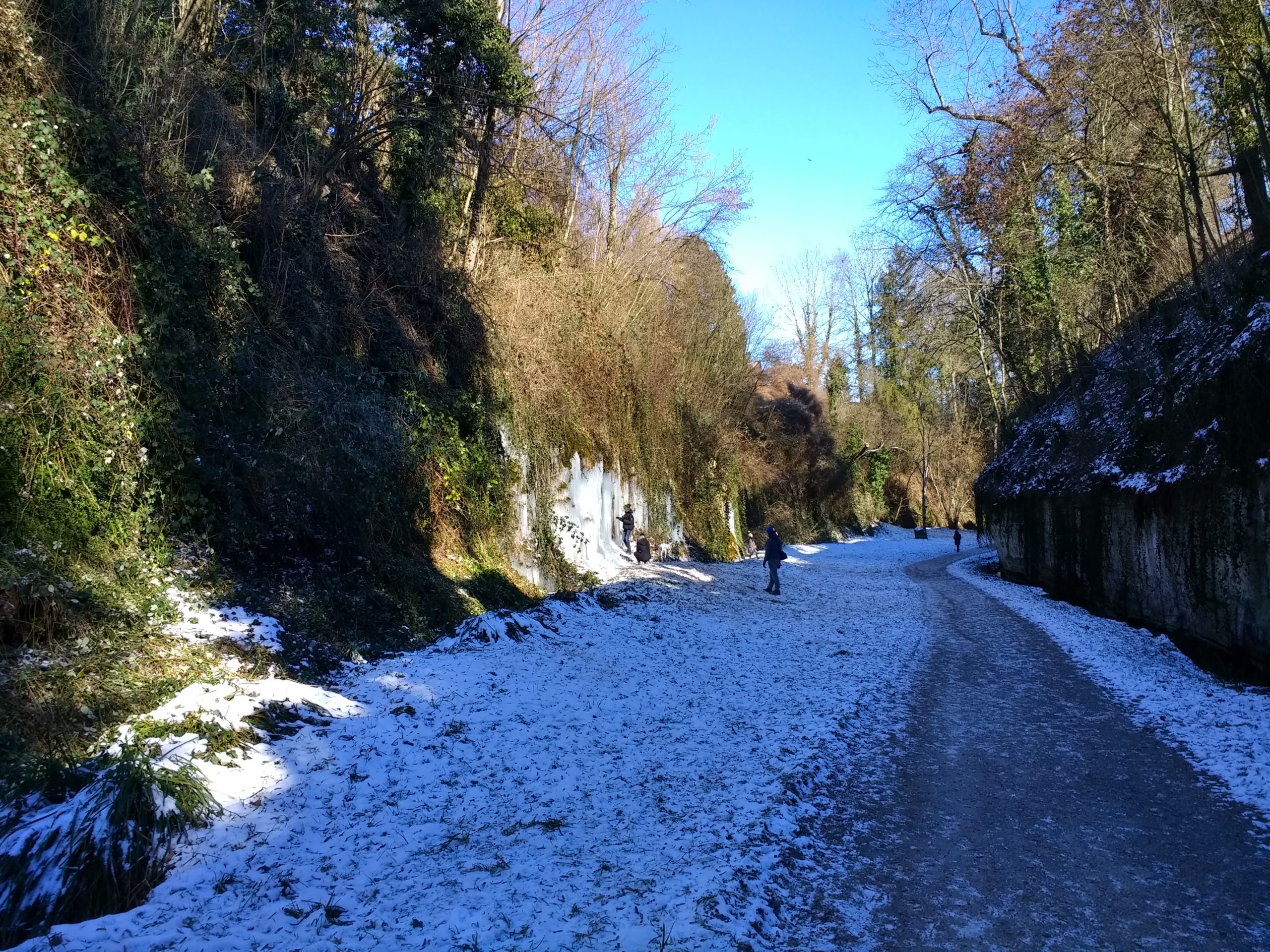 IMG_20210213_134529812_HDR