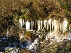 IMG_20210213_134544481_HDR