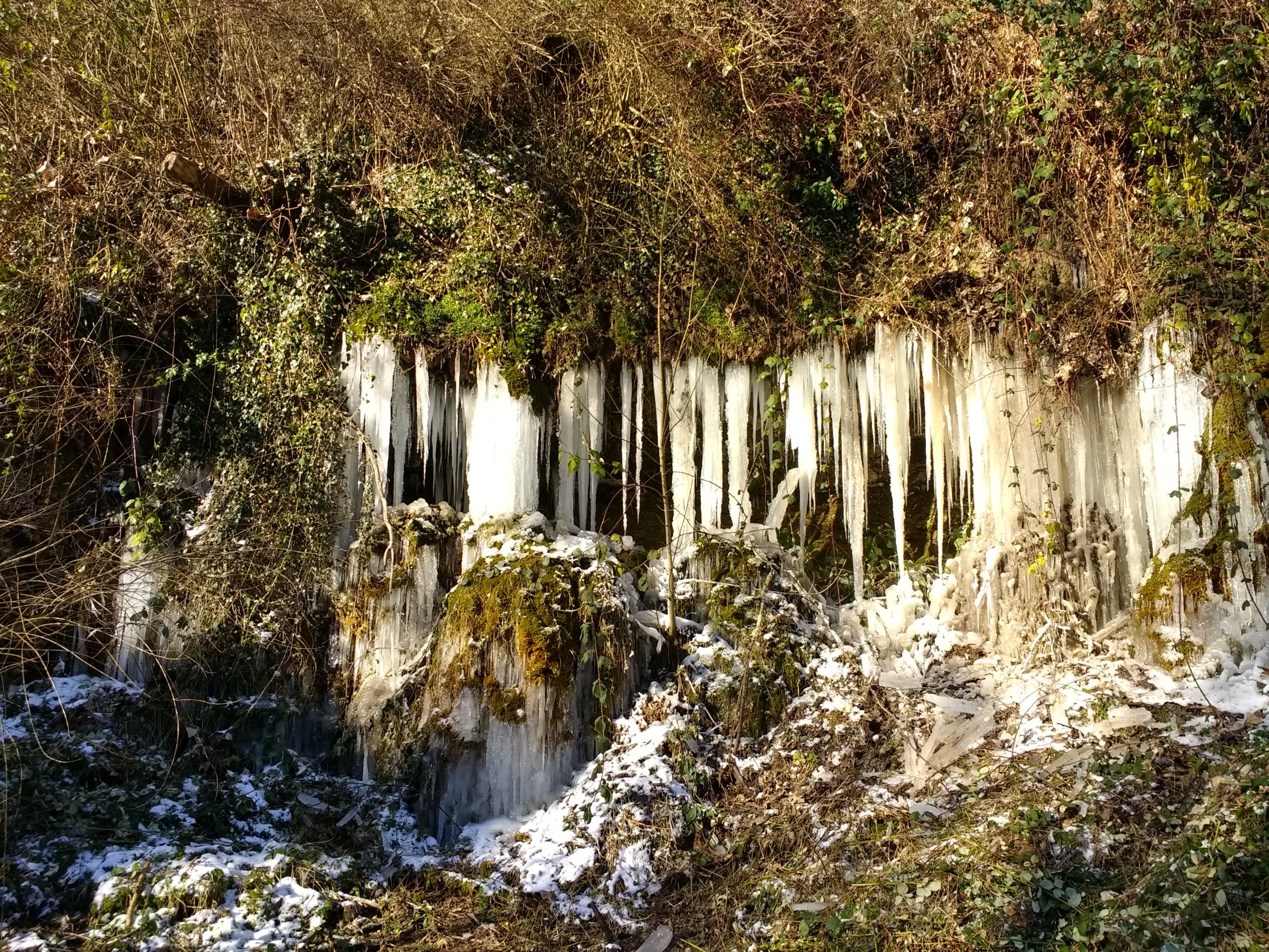 IMG_20210213_134544481_HDR
