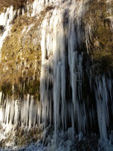 IMG_20210213_135036410