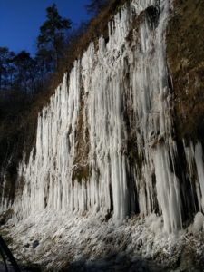 IMG_20210213_135046626