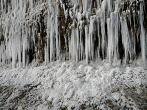 IMG_20210213_135117273