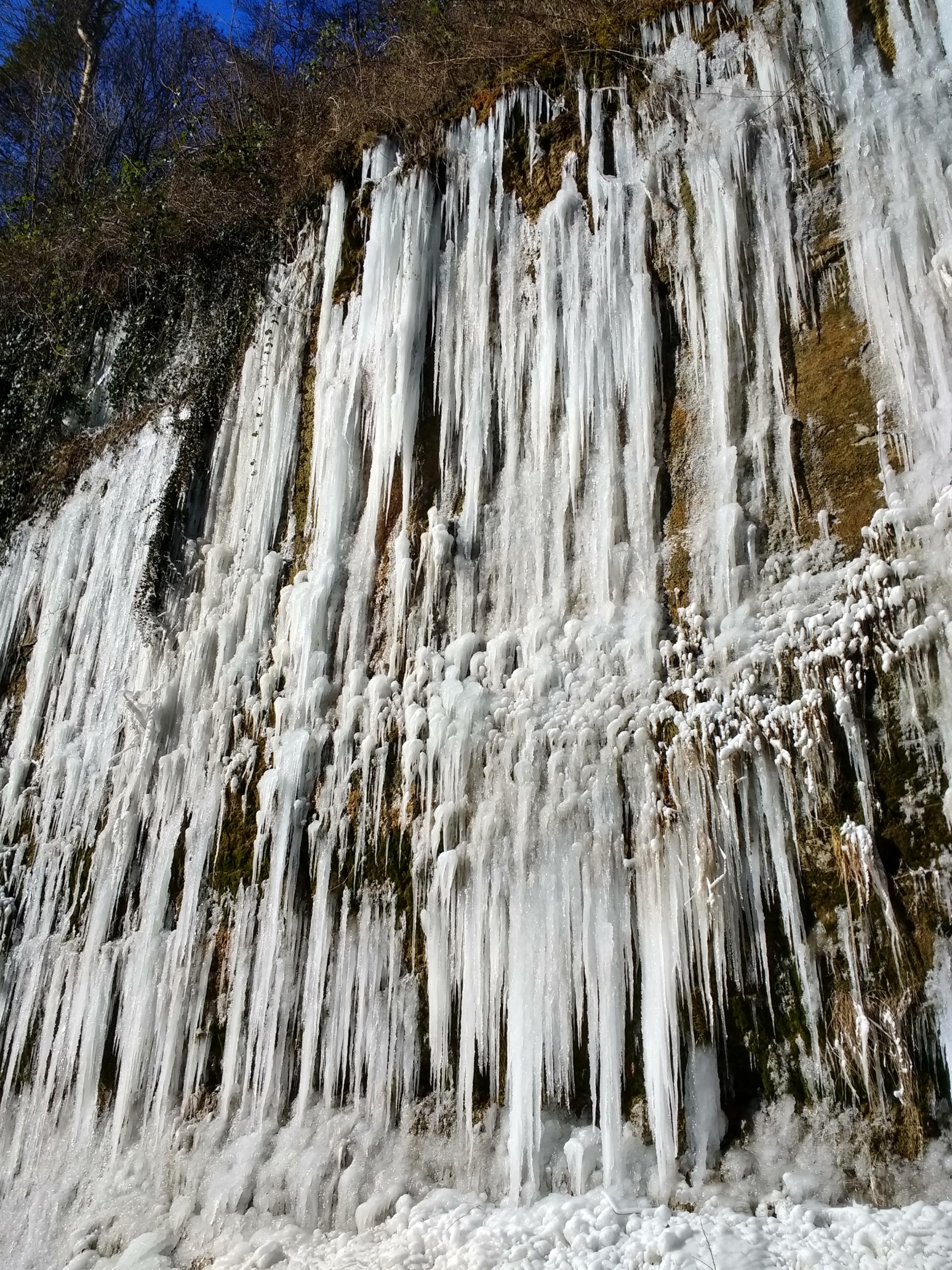 IMG_20210213_135129462_HDR