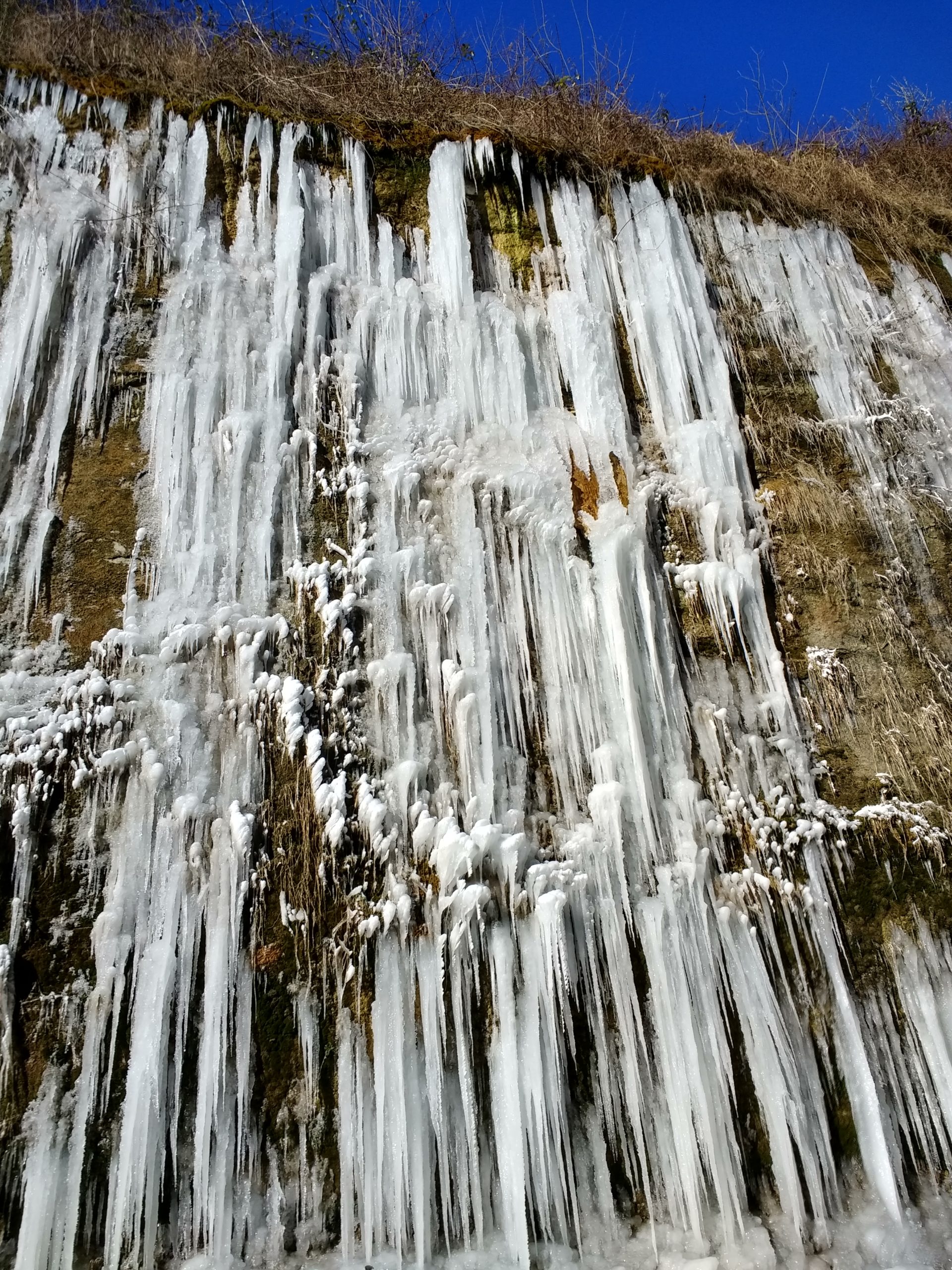 IMG_20210213_135135300_HDR